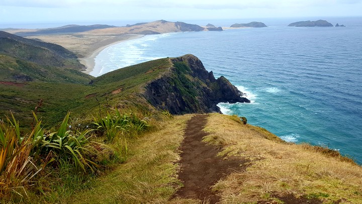 Looking South at Cape Maria Van Diemen from Cape Reinga